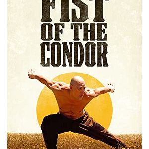 The Fist of the Condor