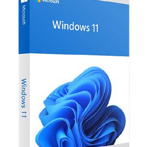 Windows 11 22H2 16in1 en-US x64